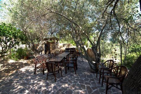 Villa Arancio Giorgio Cala Liberotto Eksteriør billede